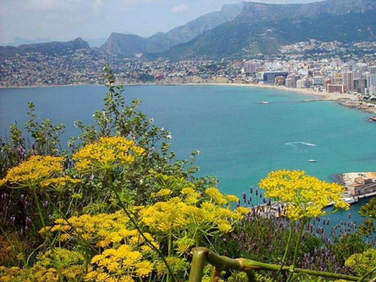 Villa Robert con piscina comunitaria uso exclusivo para una casa por turno Calpe Exterior foto